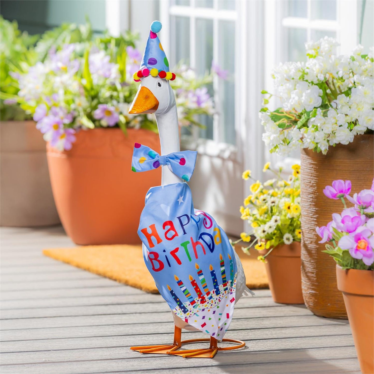 Porch Goose Outfit - Birthday Boy