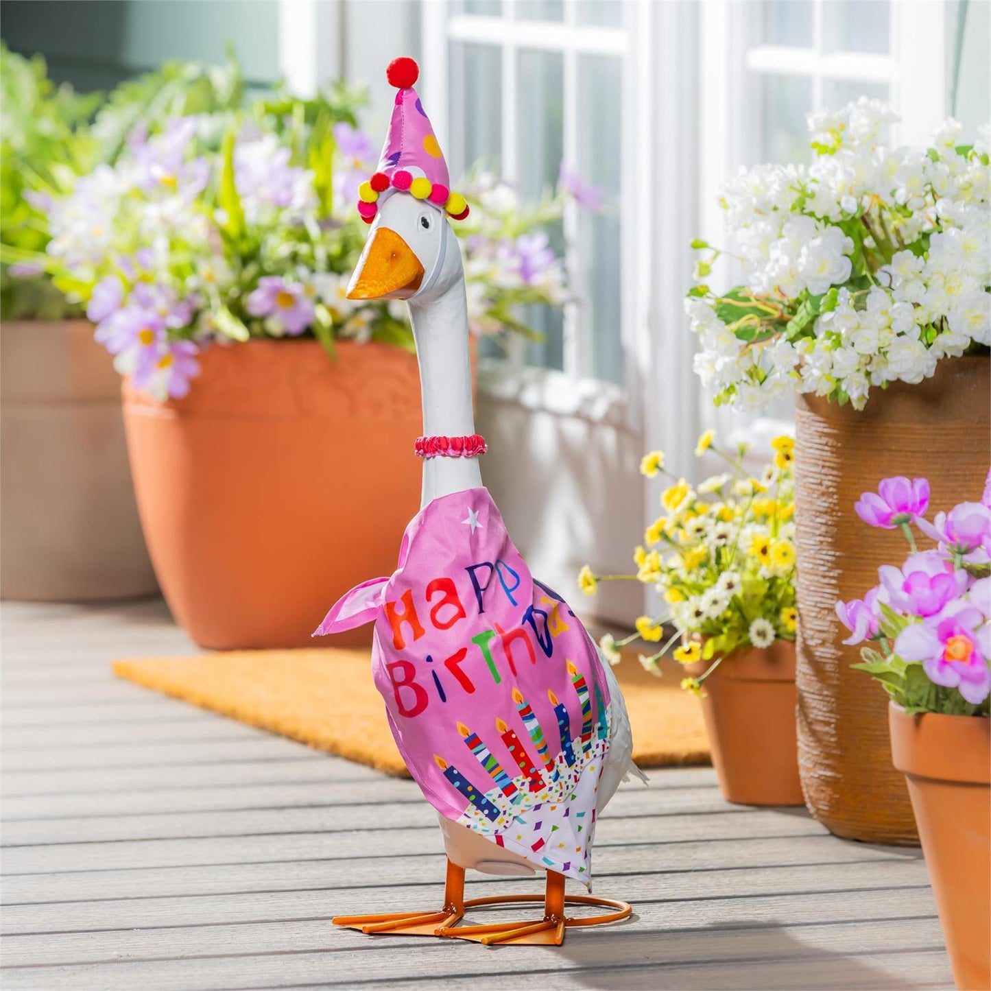 Porch Goose Outfit - Birthday Girl